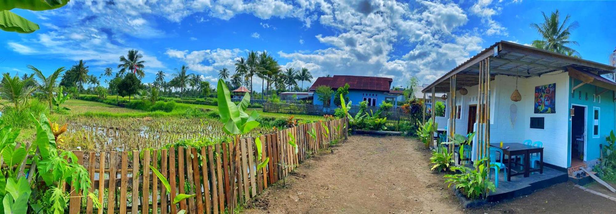 Alfarizi Homestay Tetebatu Buitenkant foto