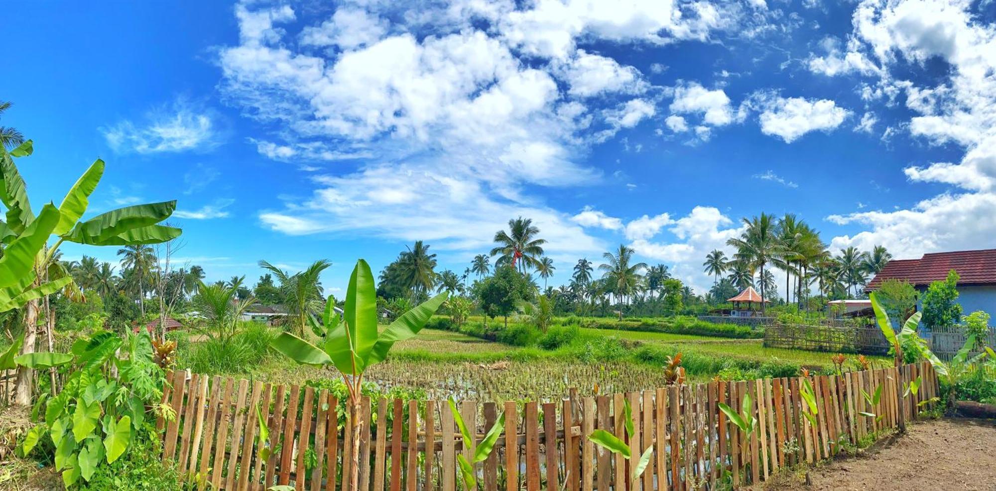Alfarizi Homestay Tetebatu Buitenkant foto