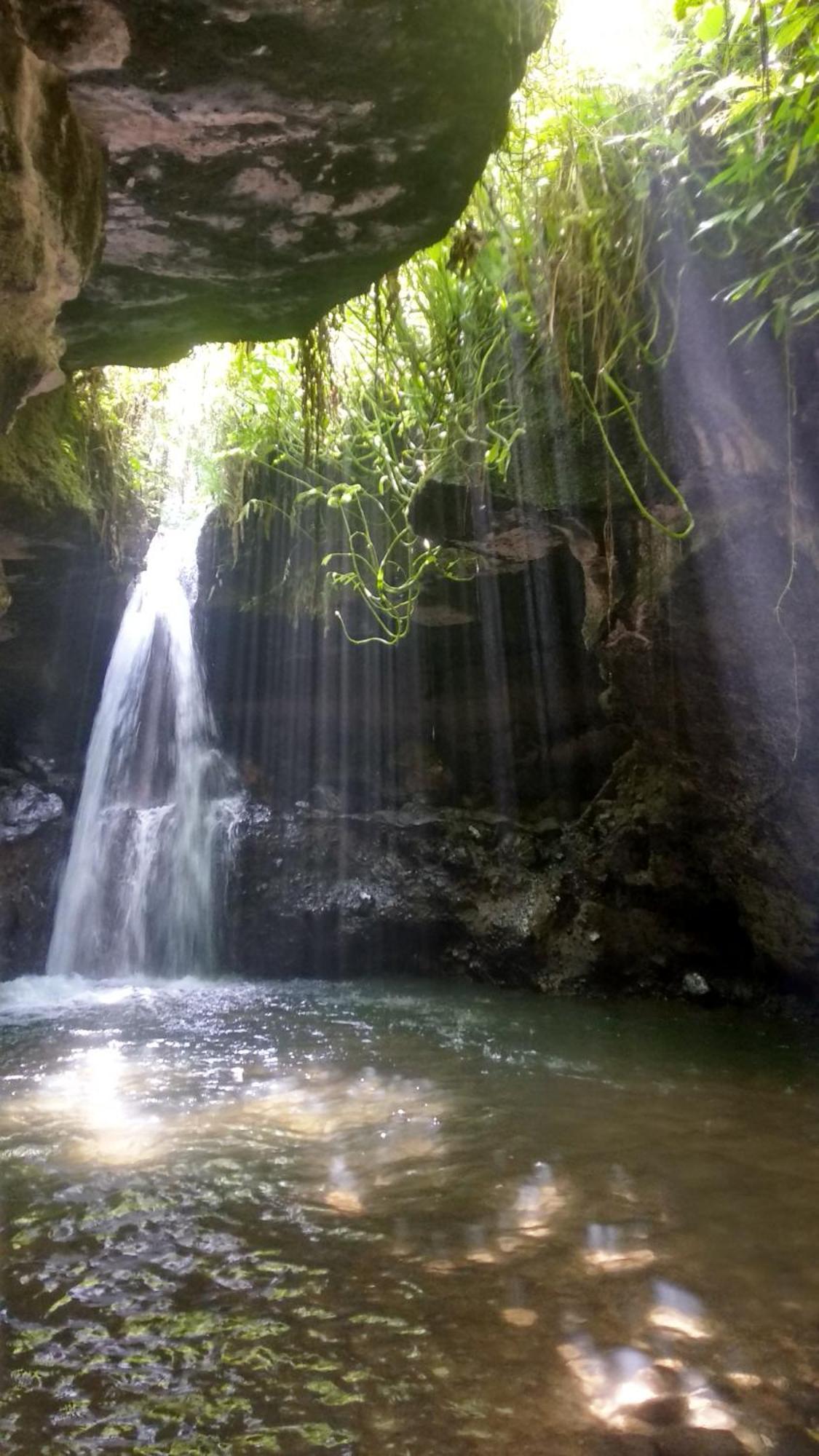 Alfarizi Homestay Tetebatu Buitenkant foto