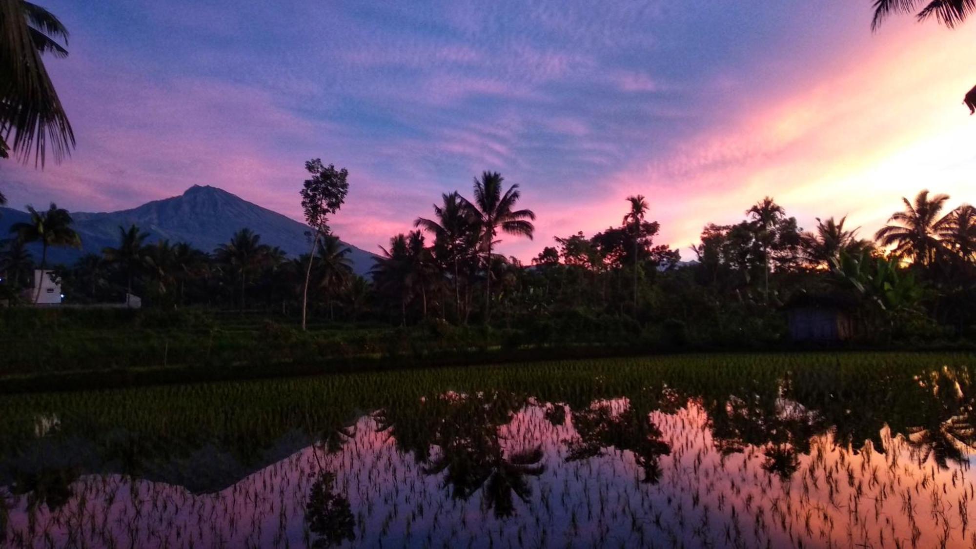 Alfarizi Homestay Tetebatu Buitenkant foto