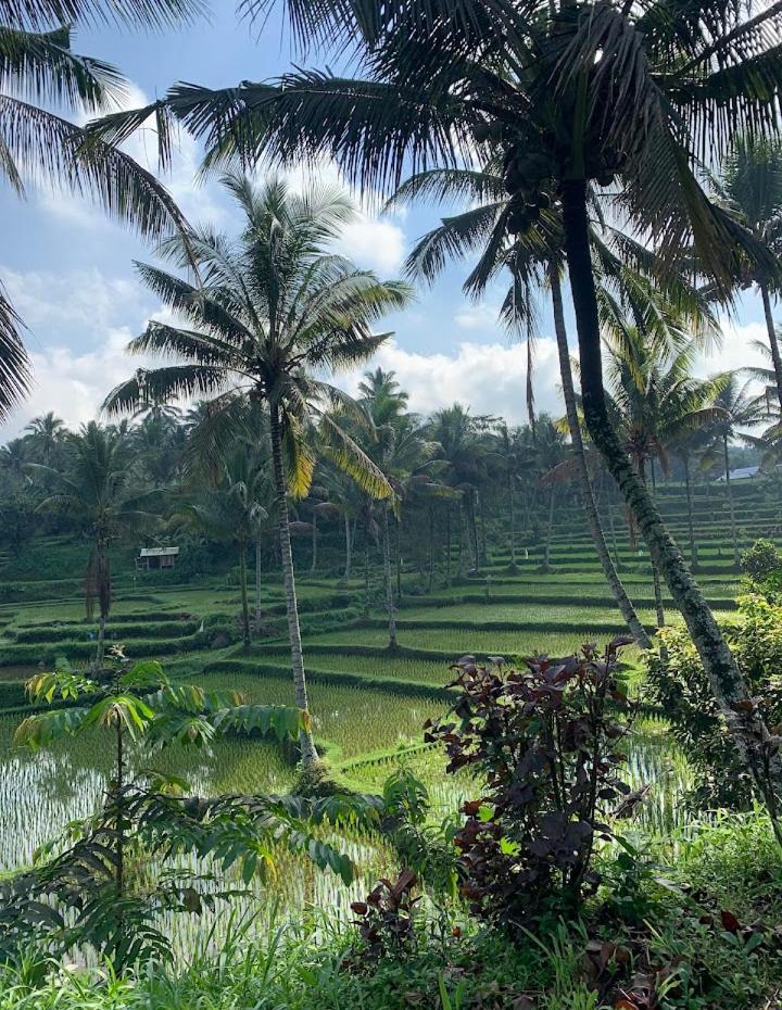 Alfarizi Homestay Tetebatu Buitenkant foto