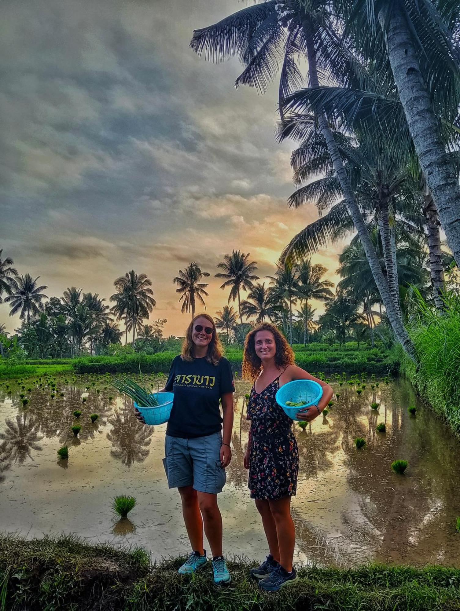 Alfarizi Homestay Tetebatu Buitenkant foto